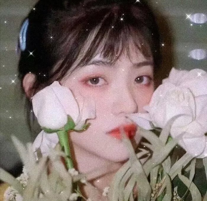 目莲救母